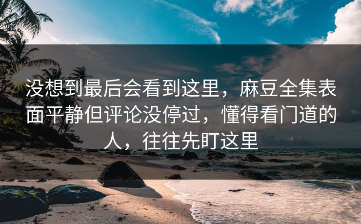 没想到最后会看到这里，麻豆全集表面平静但评论没停过，懂得看门道的人，往往先盯这里  第1张