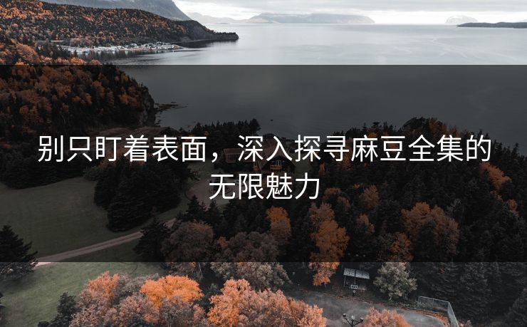 别只盯着表面，深入探寻麻豆全集的无限魅力  第1张