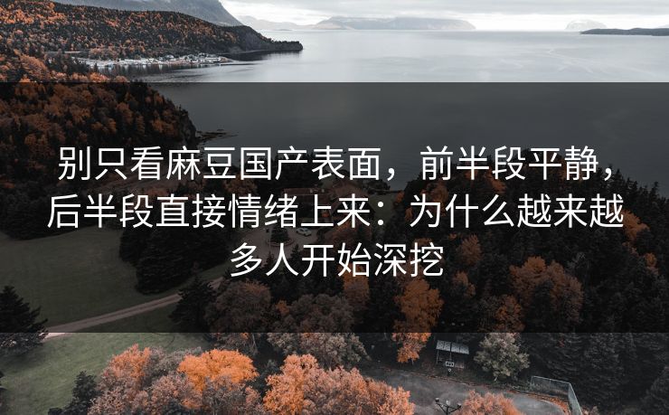 别只看麻豆国产表面，前半段平静，后半段直接情绪上来：为什么越来越多人开始深挖  第1张