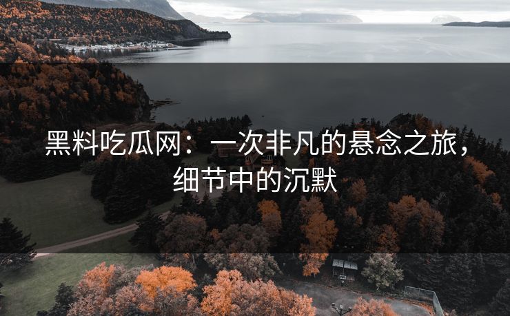 黑料吃瓜网：一次非凡的悬念之旅，细节中的沉默  第1张