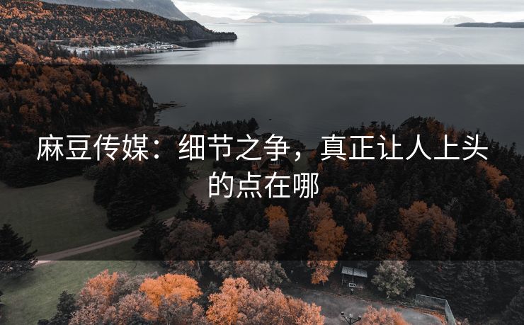 麻豆传媒：细节之争，真正让人上头的点在哪  第1张