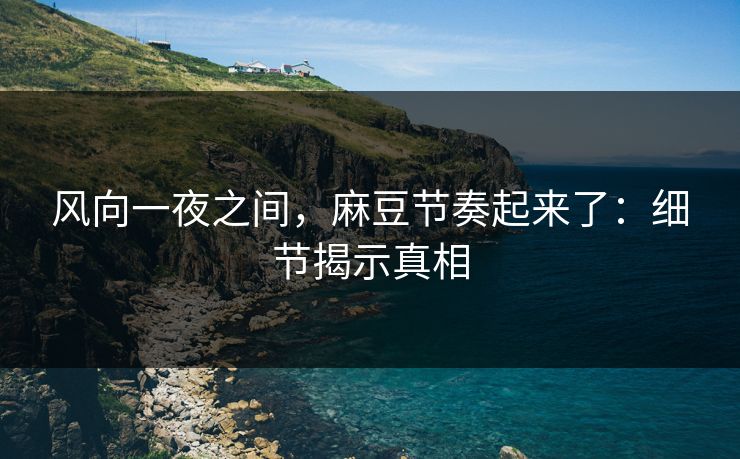 风向一夜之间,麻豆节奏起来了:细节揭示真相 第1张 风向一夜之间,麻豆节奏起来了:细节揭示真相 第1张