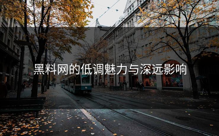 黑料网的低调魅力与深远影响 第1张 黑料网的低调魅力与深远影响 第1张