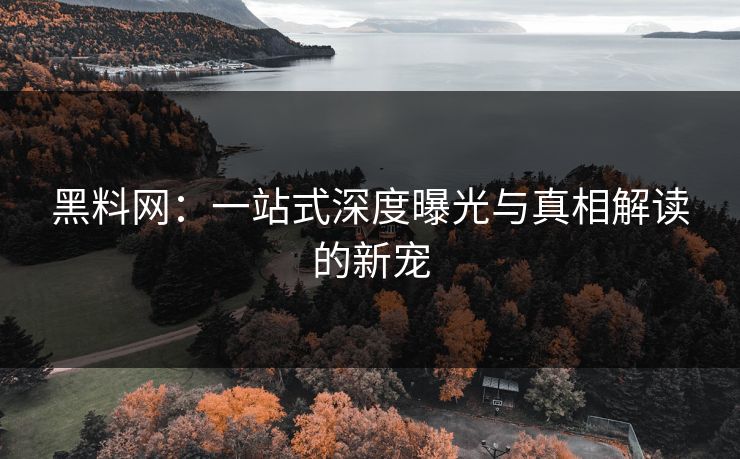 黑料网:一站式深度曝光与真相解读的新宠 第1张 黑料网:一站式深度曝光与真相解读的新宠 第1张