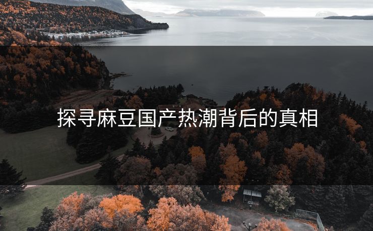 探寻麻豆国产热潮背后的真相 第1张 探寻麻豆国产热潮背后的真相 第1张